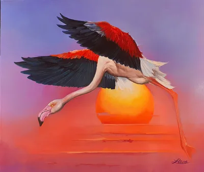 Flamant de Floride, LUDIVINE