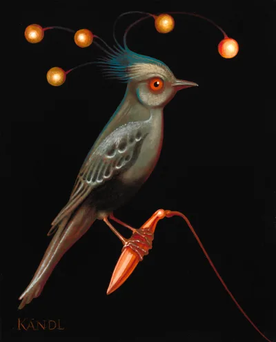 Phainopepla perlé, Lukas Kandl