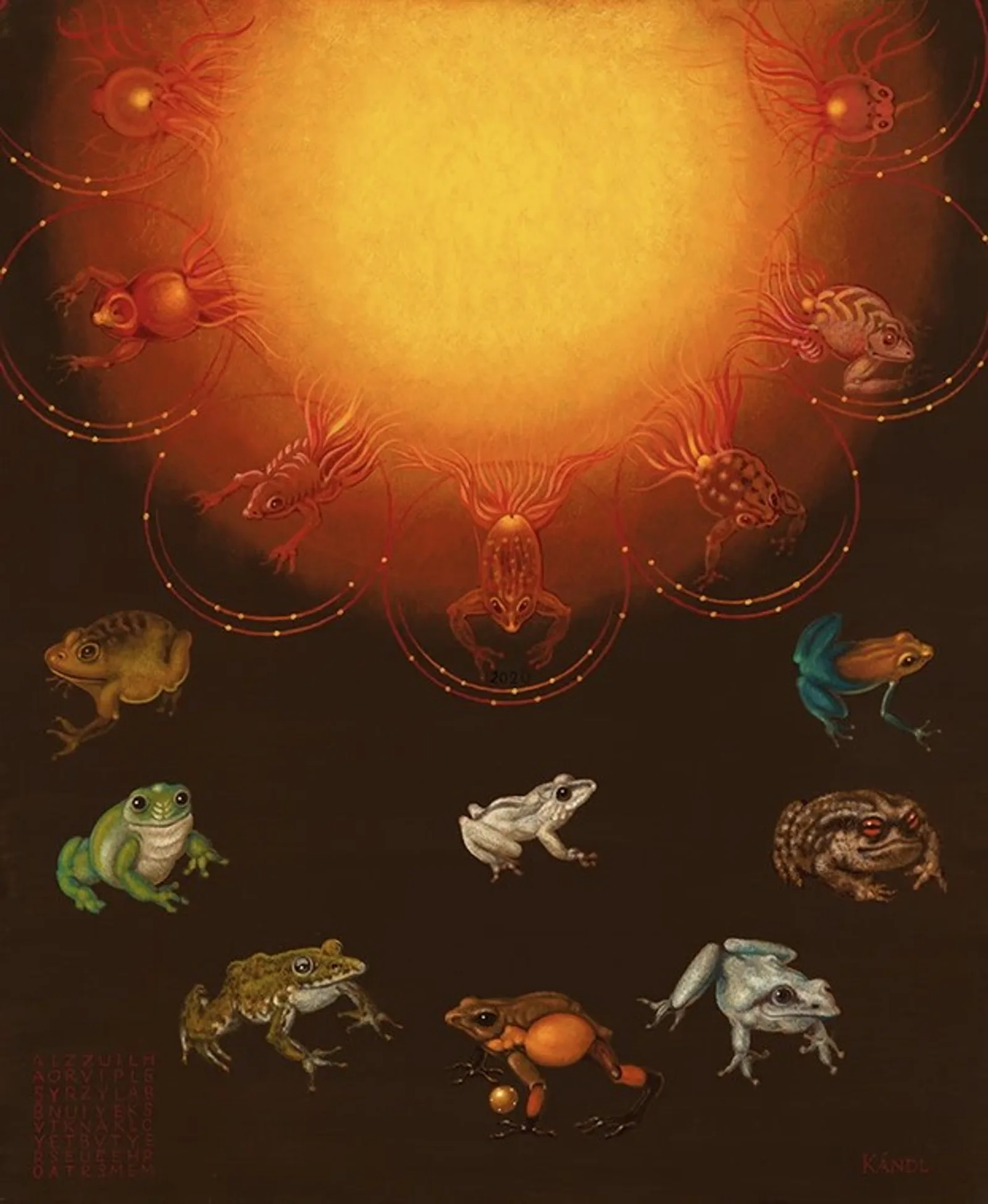 Le soleil et les grenouilles, Lukas Kandl