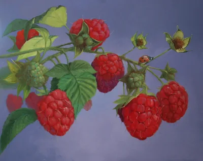 Framboise et demoiselle coccinelle, LUDIVINE