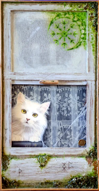 Chat à la fenêtre, SYL