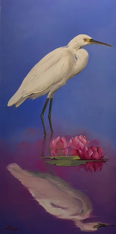 Aigrette Garzette, LUDIVINE