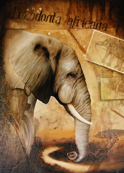 Éléphant, SYL